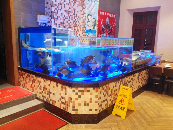 合肥私厨海鲜池定制