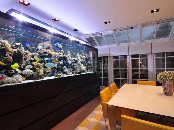 别墅挂壁市鱼缸定制